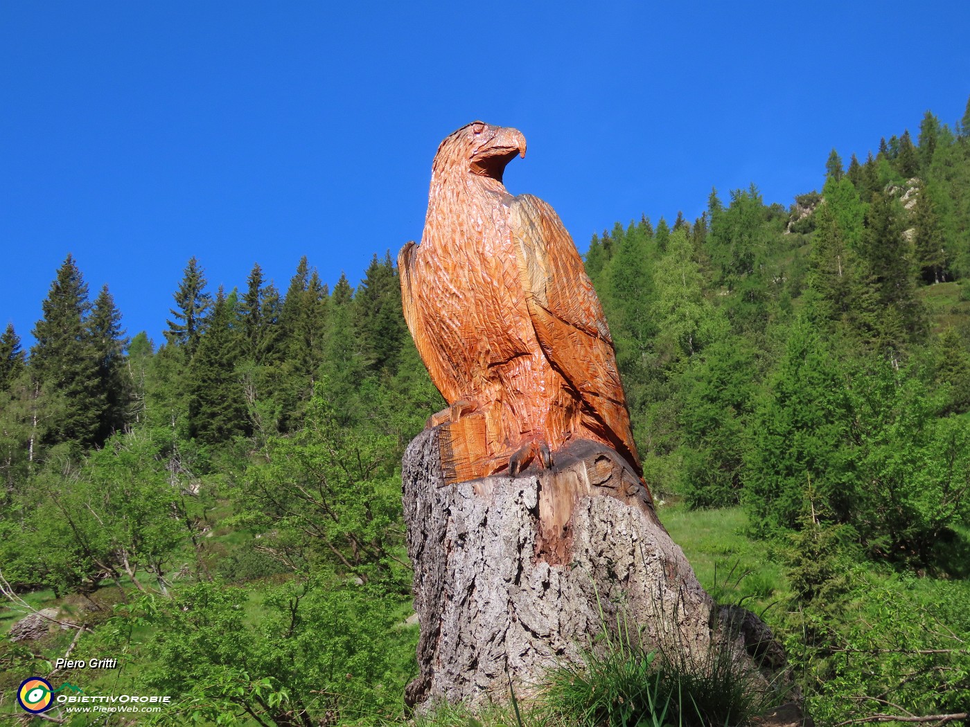 08 Bella l'aquila scolpita su tronco d'abete (2022).JPG